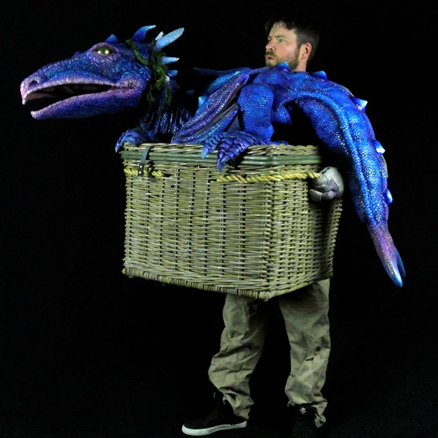 Dragon In A Basket 7