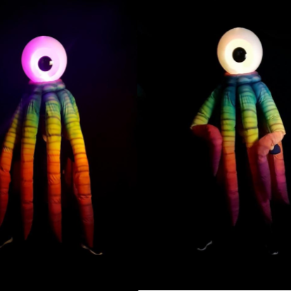 Rainbow Octopus 3